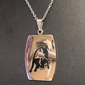 Stainless Steel Bull Dogtag Pendant on 22" Silvertone Chain (P51)